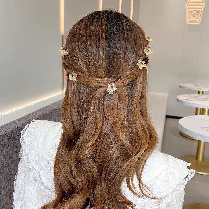 10pcs/set Korean Mini Hair Cli - Hair Claw Clip Set のレビューと価格